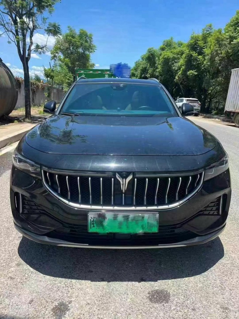 福州23年嵐圖汽車FREE1