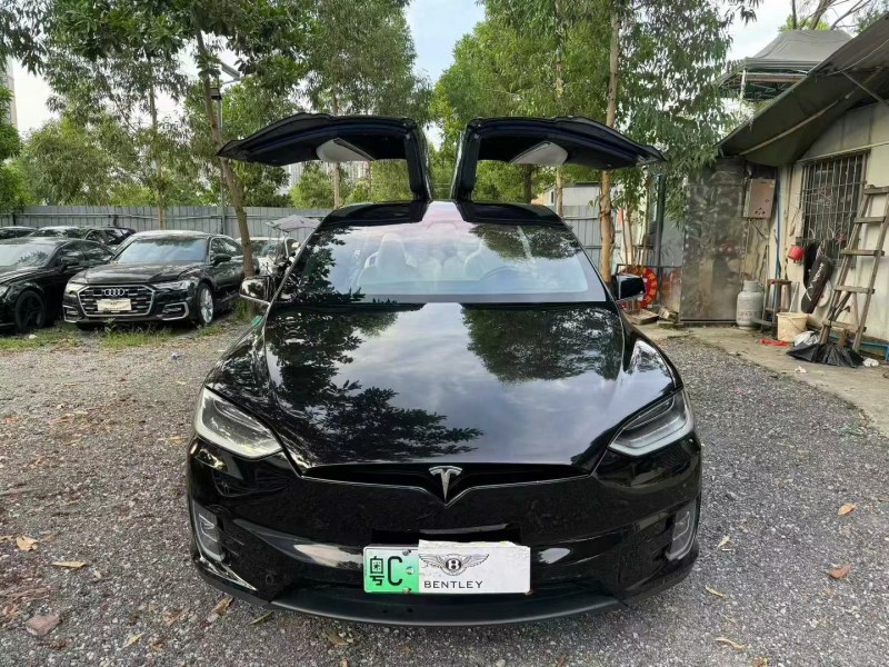廣州18年特斯拉MODEL X1