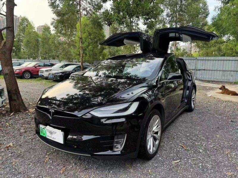 廣州18年特斯拉MODEL X2