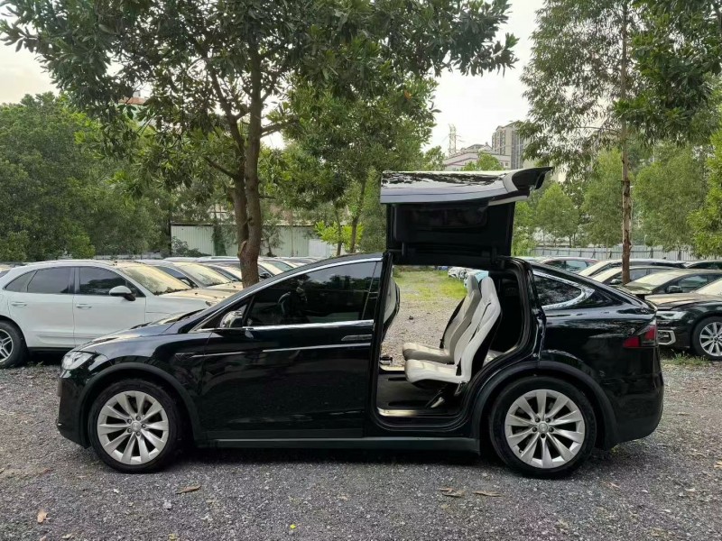 廣州18年特斯拉MODEL X6