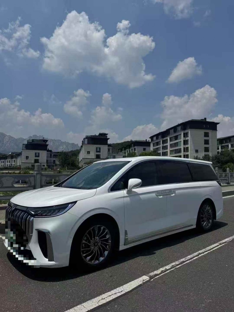 濟寧23年嵐圖汽車夢想家2