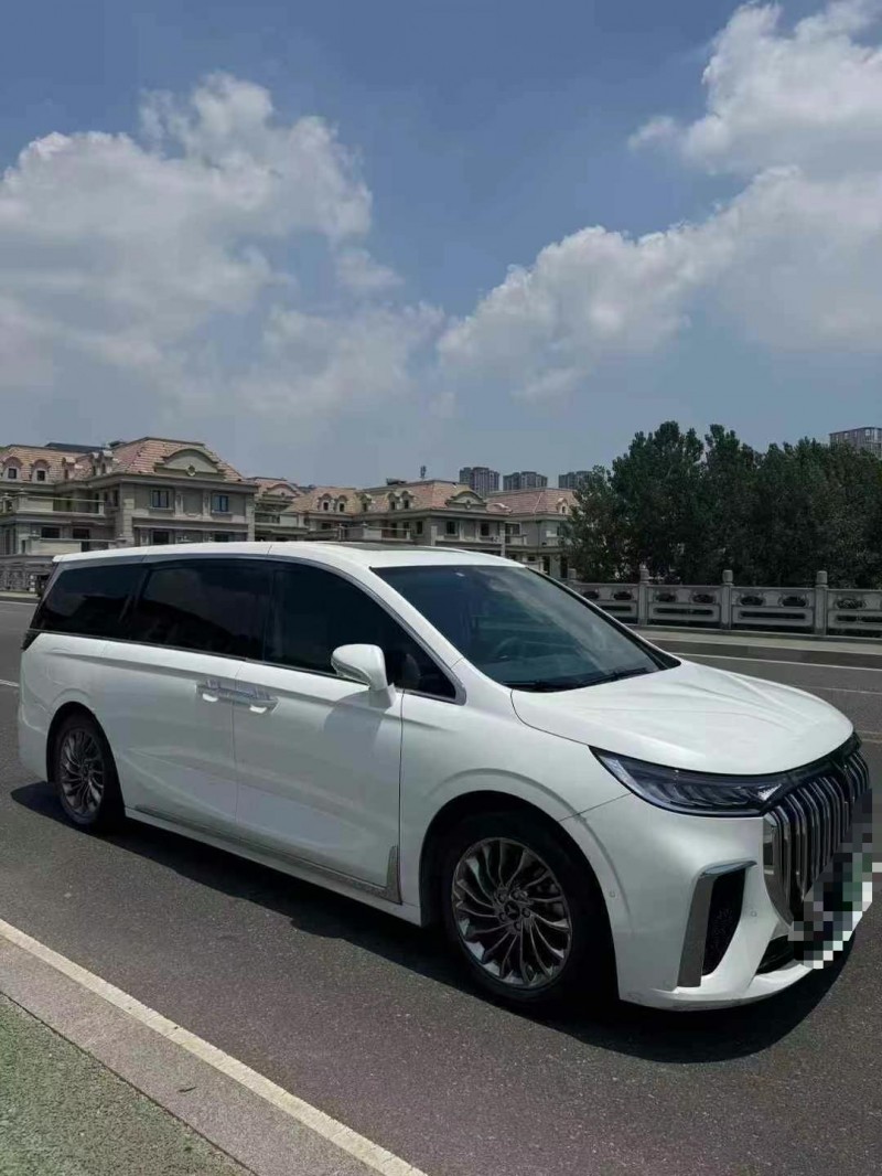 濟寧23年嵐圖汽車夢想家3