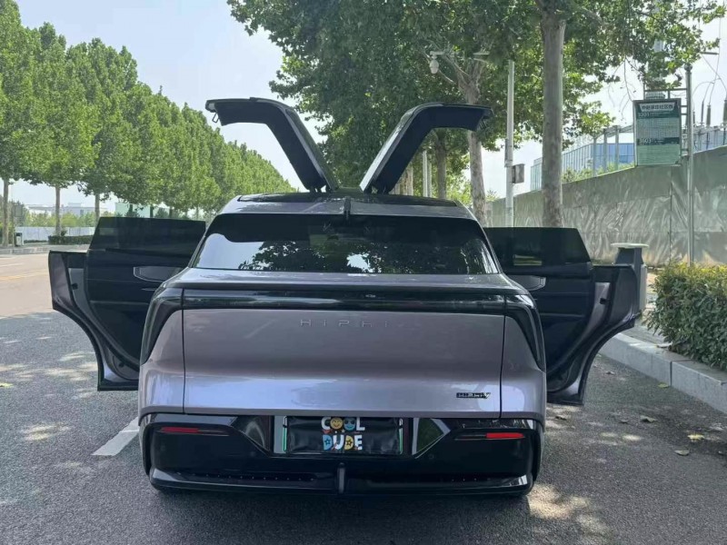 棗莊23年高合汽車HiPhi Y9