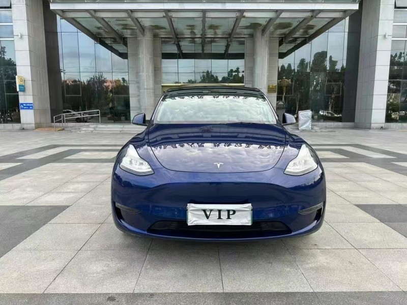 泰安21年特斯拉MODEL Y1