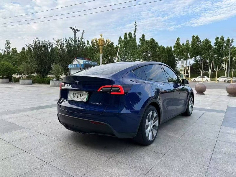 泰安21年特斯拉MODEL Y8