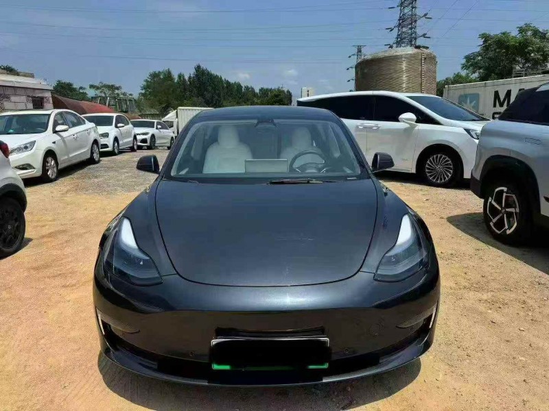 煙臺22年特斯拉MODEL 31