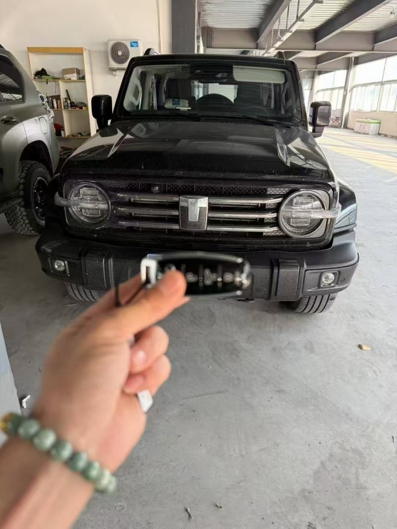 廣州23年長城汽車坦克1