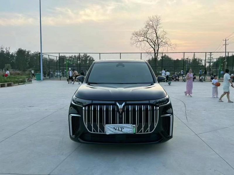 徐州24年嵐圖汽車夢想家1