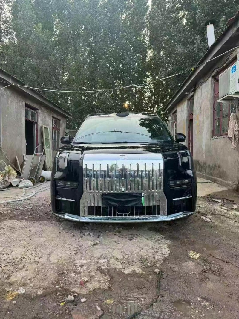 威海24年極氪汽車0091