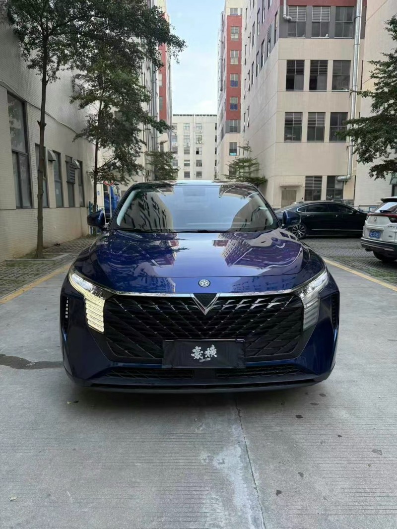佛山22年啟辰大V1