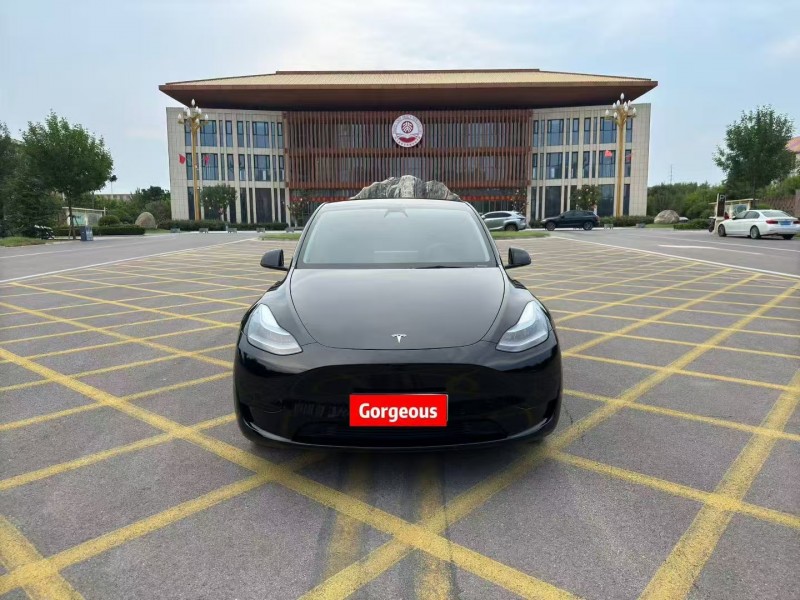 濟寧22年特斯拉MODEL Y1
