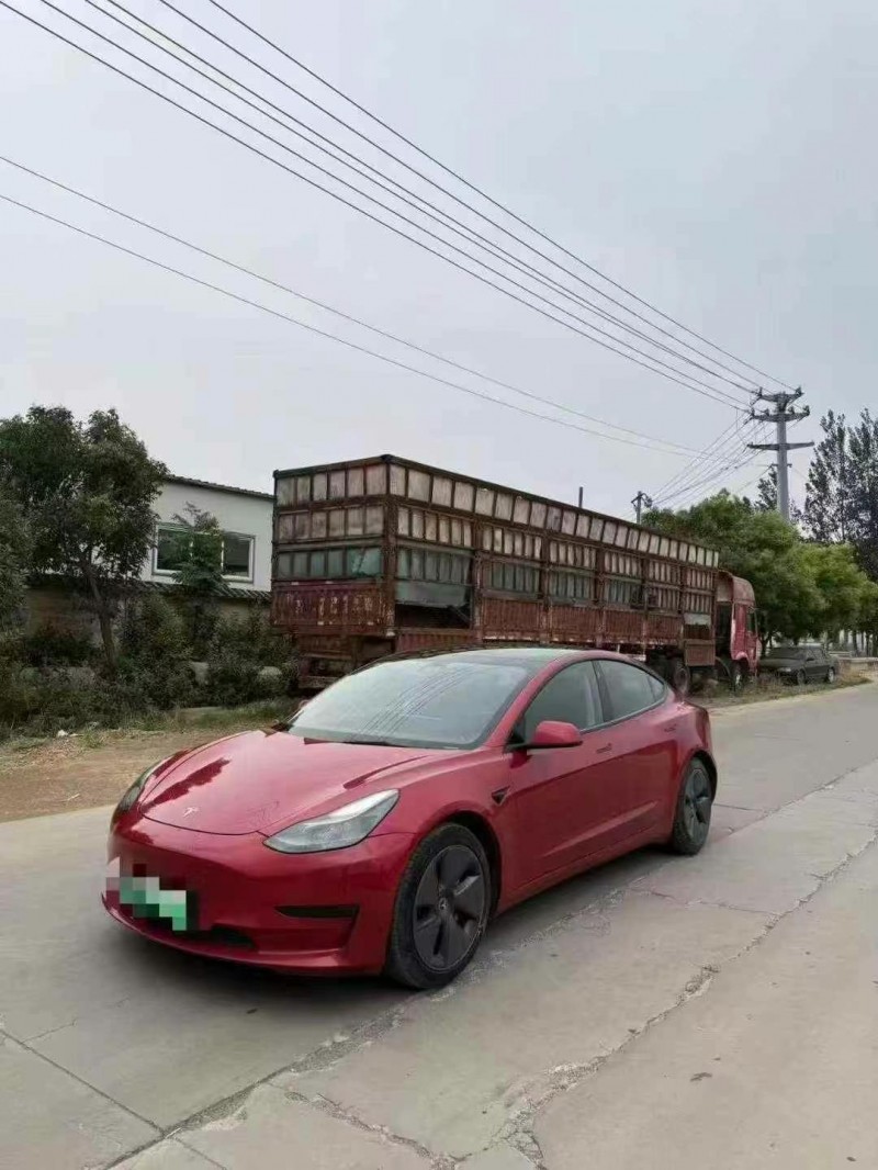 青島21年特斯拉MODEL 32
