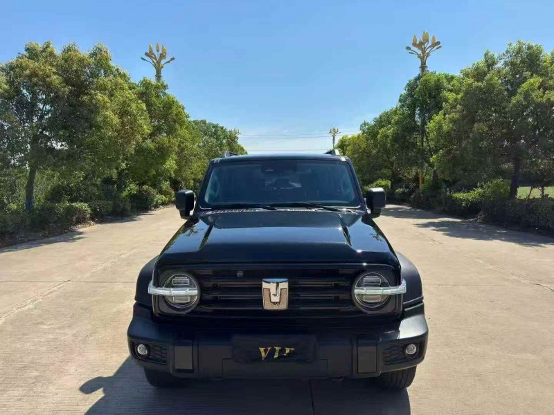 徐州23年長城汽車坦克1