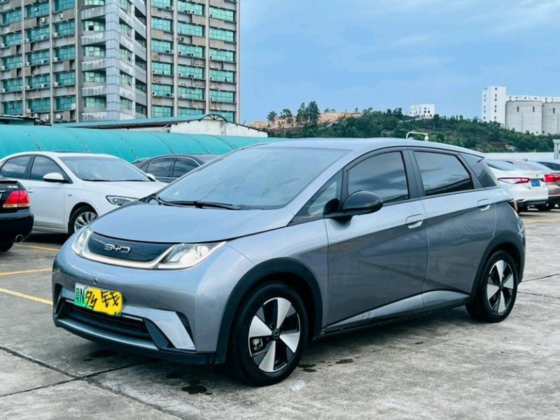 东莞24年比亚迪海豚3