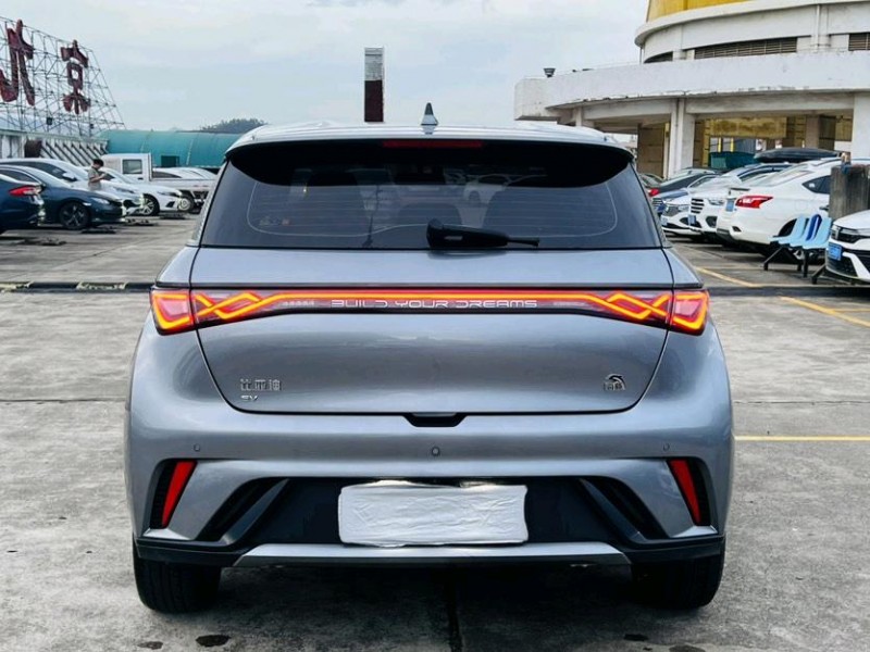 东莞24年比亚迪海豚8