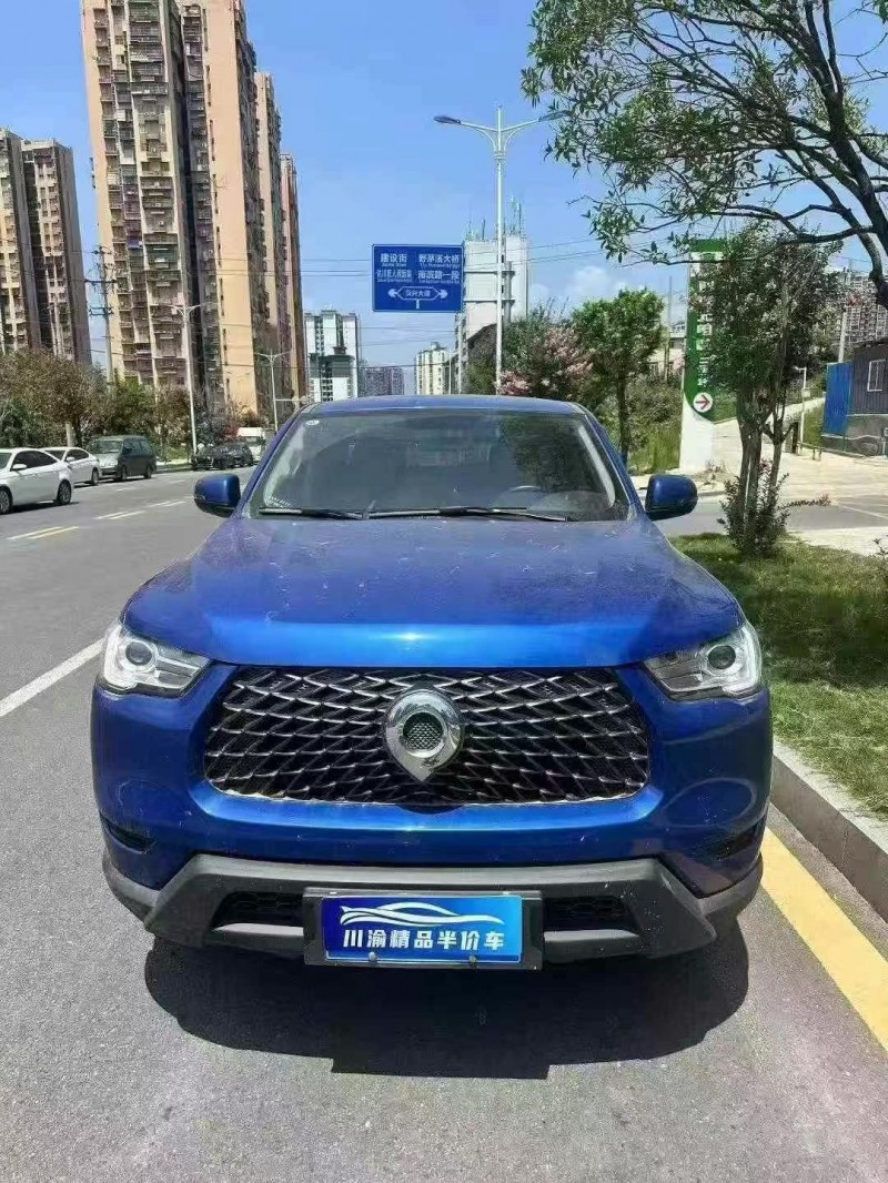 攀枝花22年長城汽車炮 皮卡1