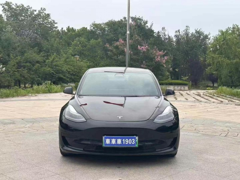 棗莊23年特斯拉MODEL 31