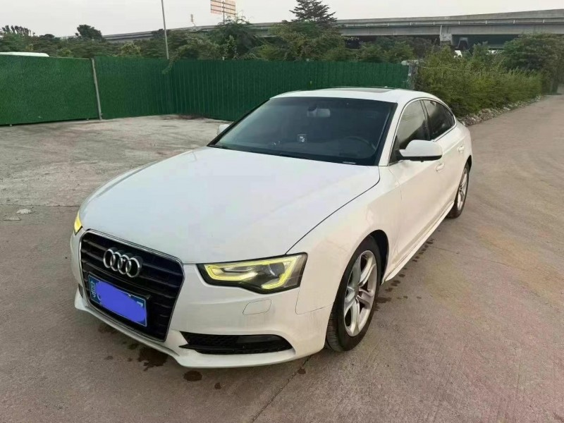 汕头14年奥迪A52