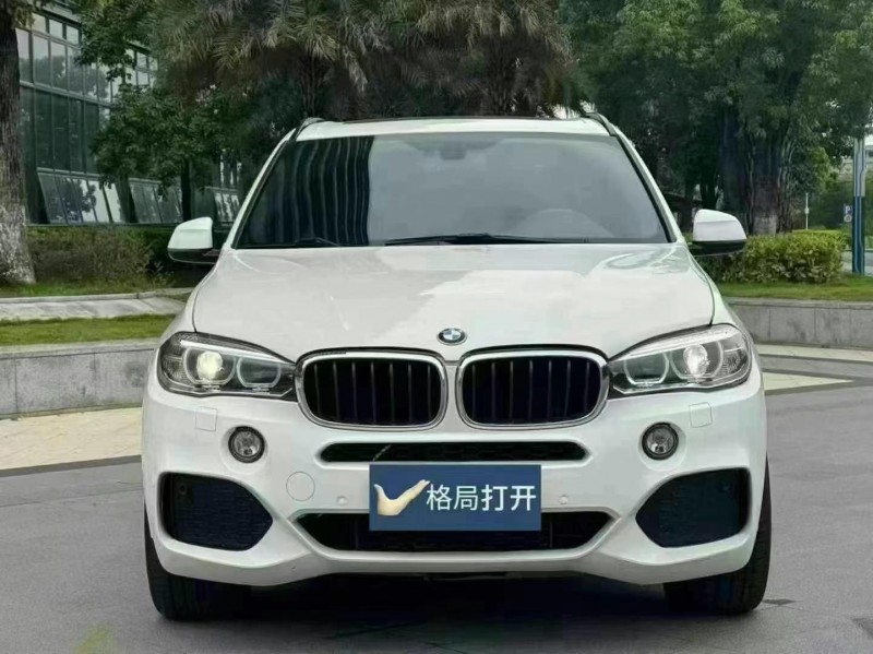 广州17年宝马X51