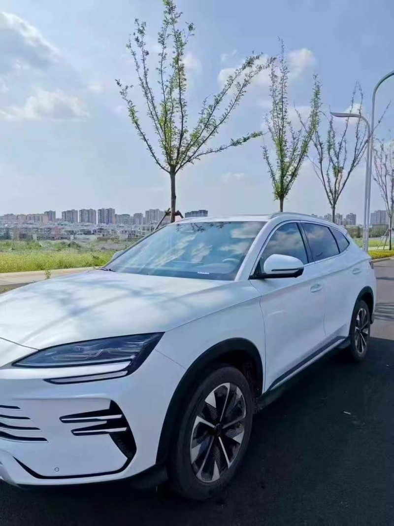 枣庄25年比亚迪宋MAX2