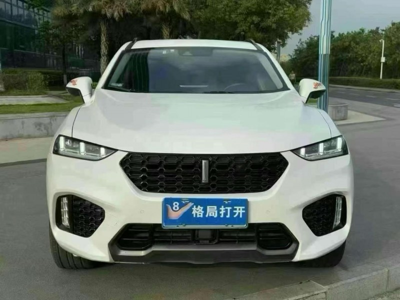 東莞19年長城汽車WEY1