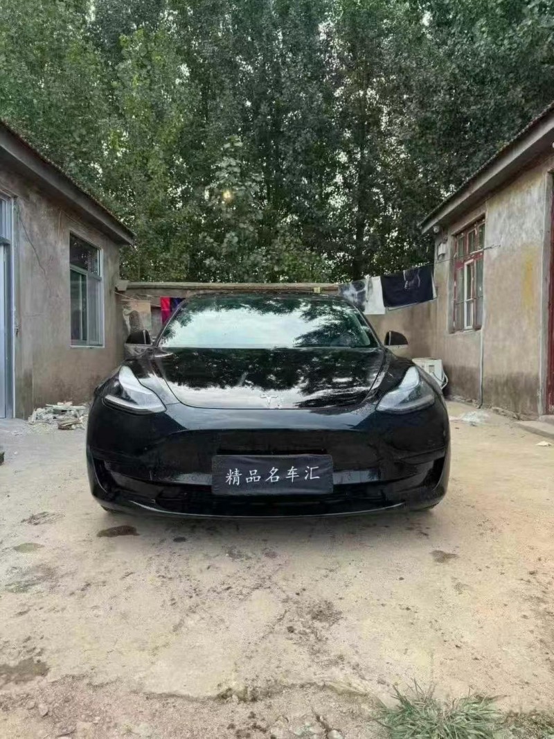 濟南20年特斯拉MODEL 31