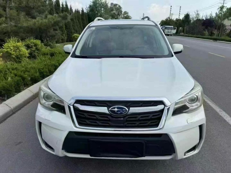 济宁16年斯巴鲁森林人1