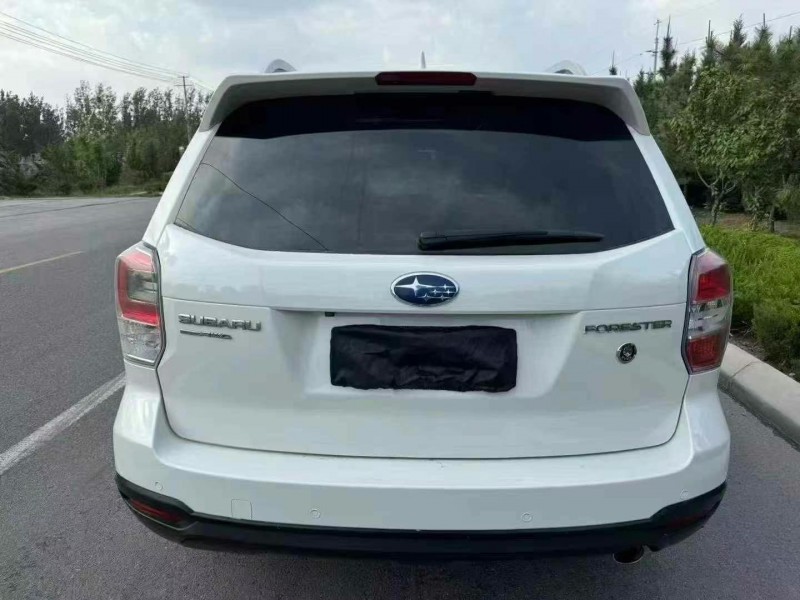 济宁16年斯巴鲁森林人9