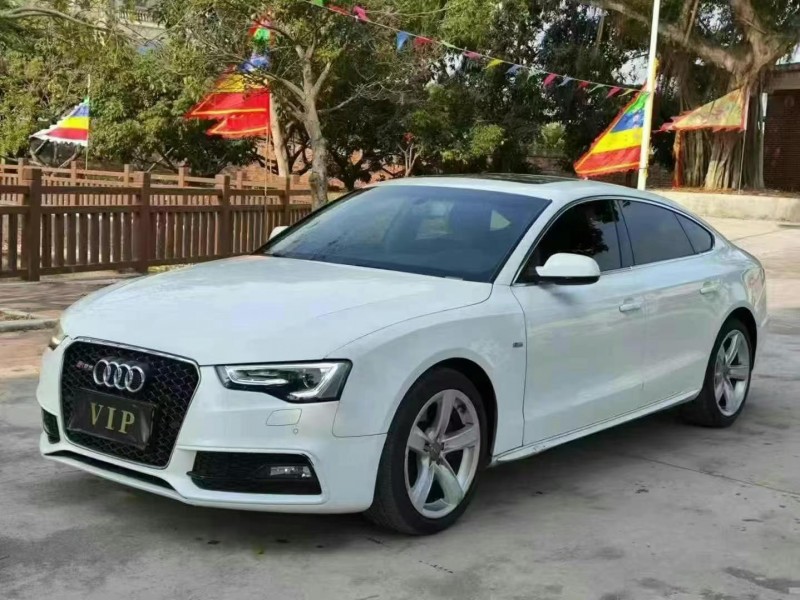 深圳14年奥迪S52