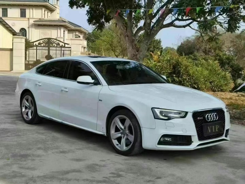 深圳14年奥迪S53