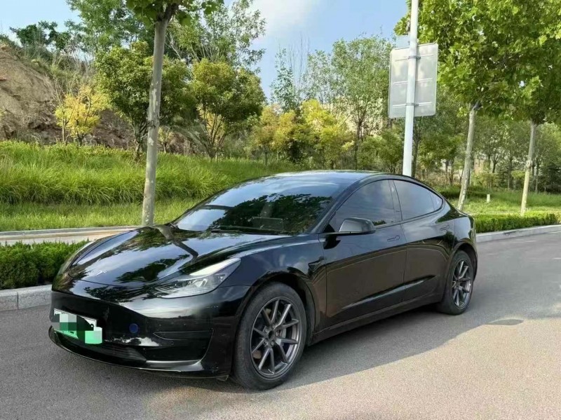 枣庄22年特斯拉MODEL 33