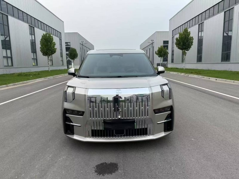 徐州23年極氪汽車0091