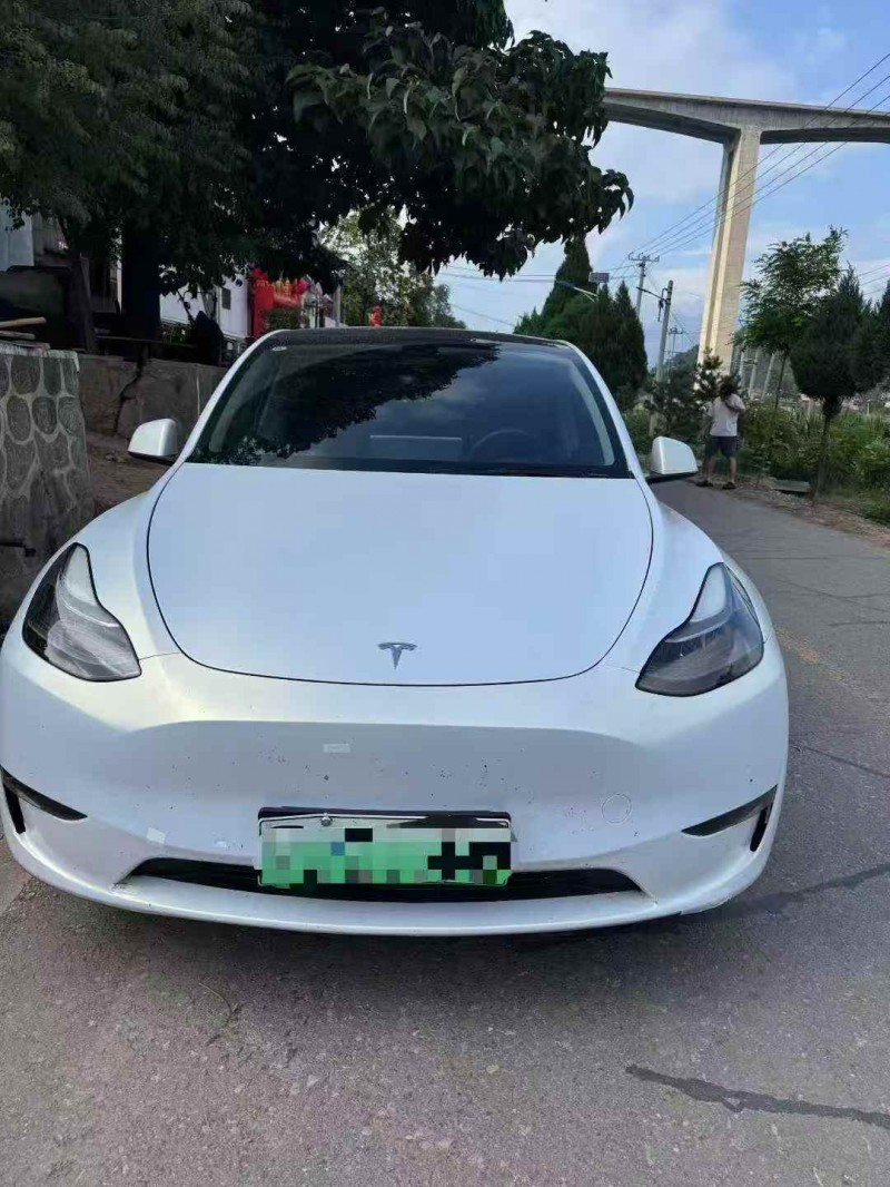 邵陽21年特斯拉MODEL Y1