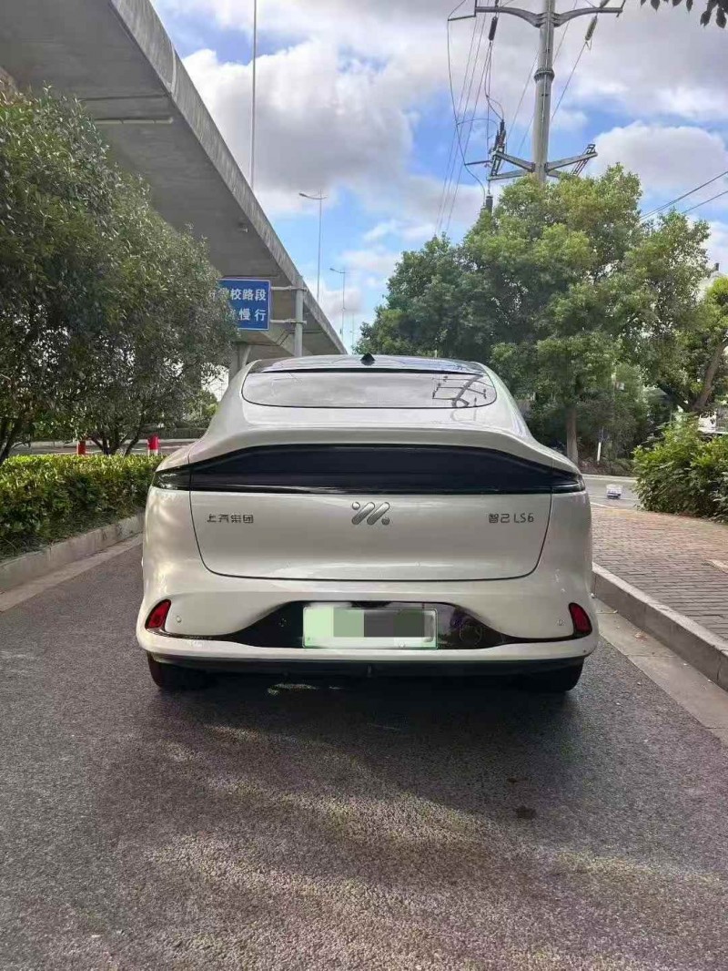 淄博24年智己LS69