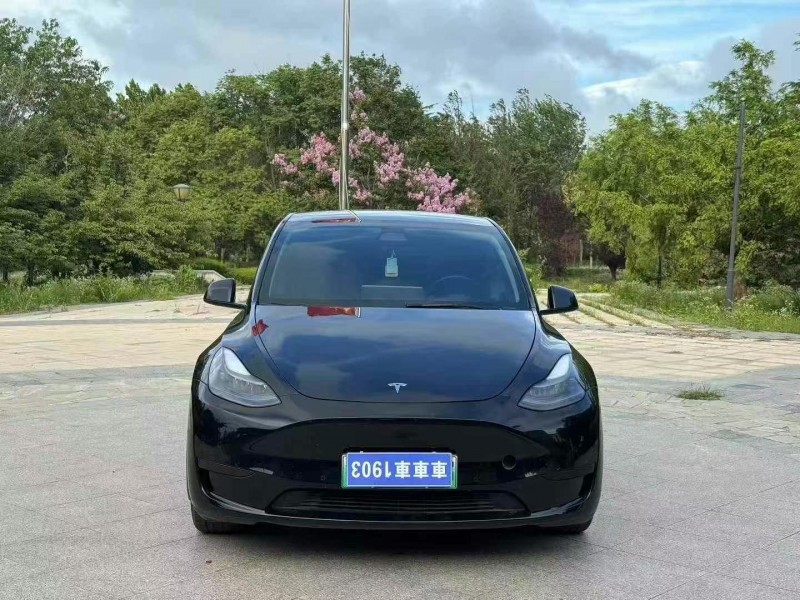 棗莊21年特斯拉MODEL Y1