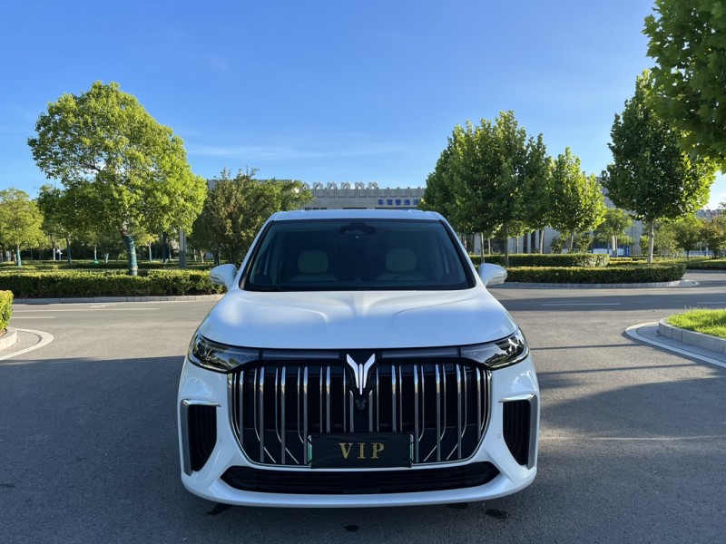 鹽城23年嵐圖汽車夢想家1