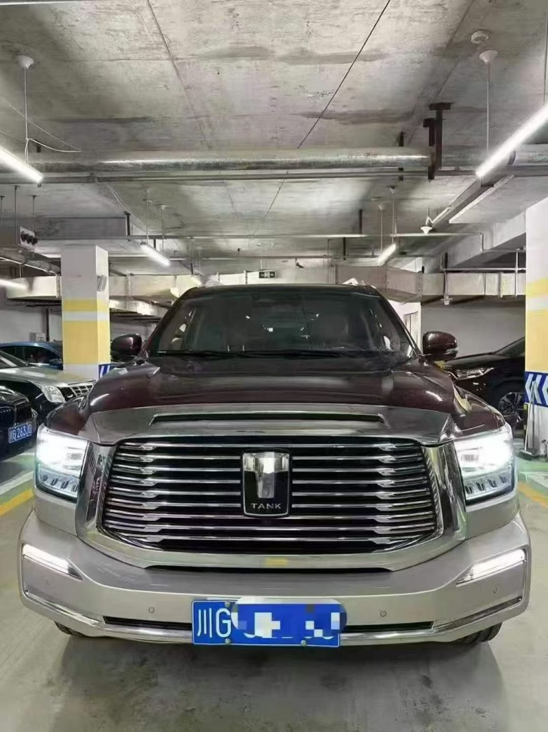 攀枝花23年長城汽車坦克1