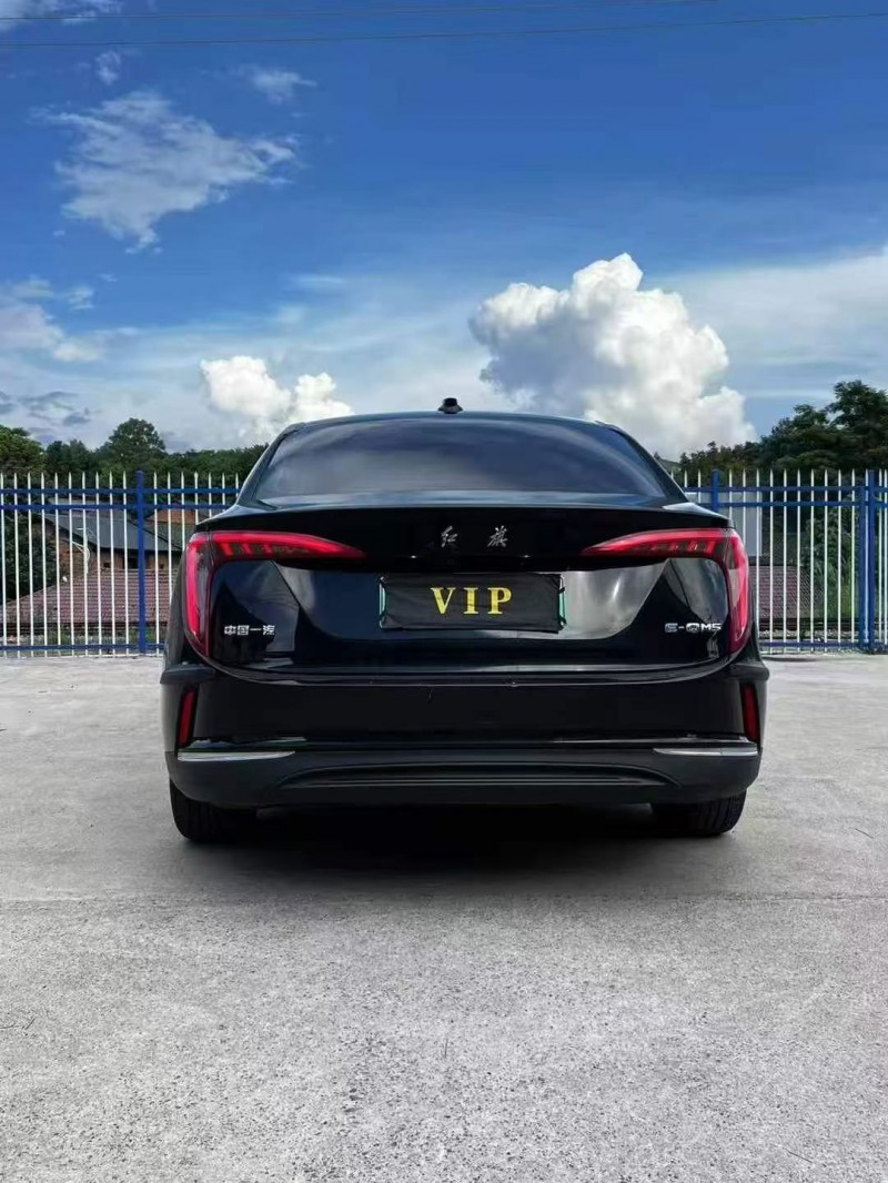 株洲23年红旗E-QM59