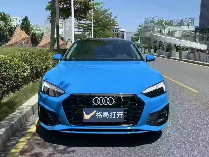 深圳22年奥迪A51