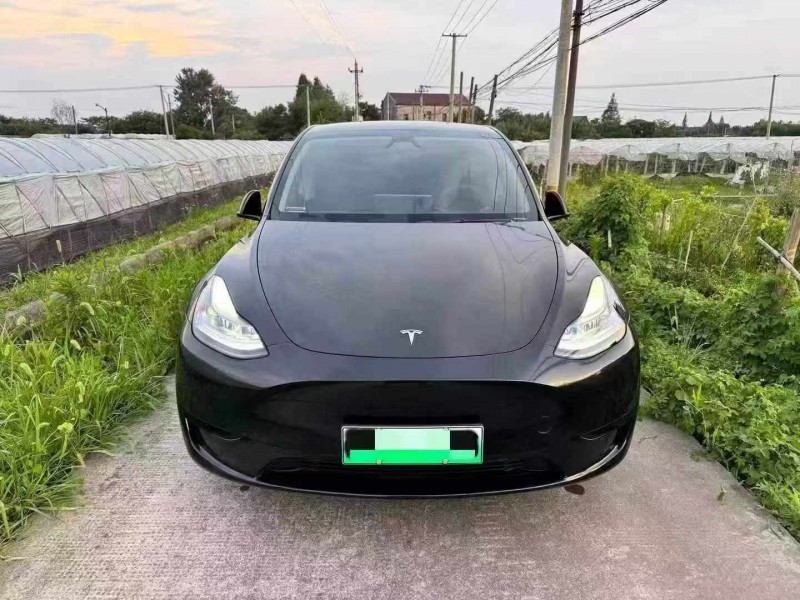 嘉興24年特斯拉MODEL Y1