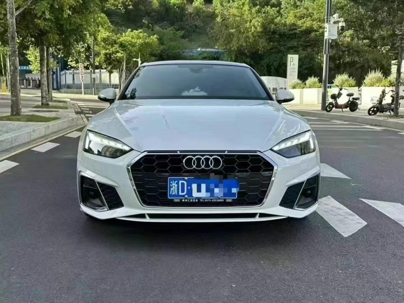 广州22年奥迪A51