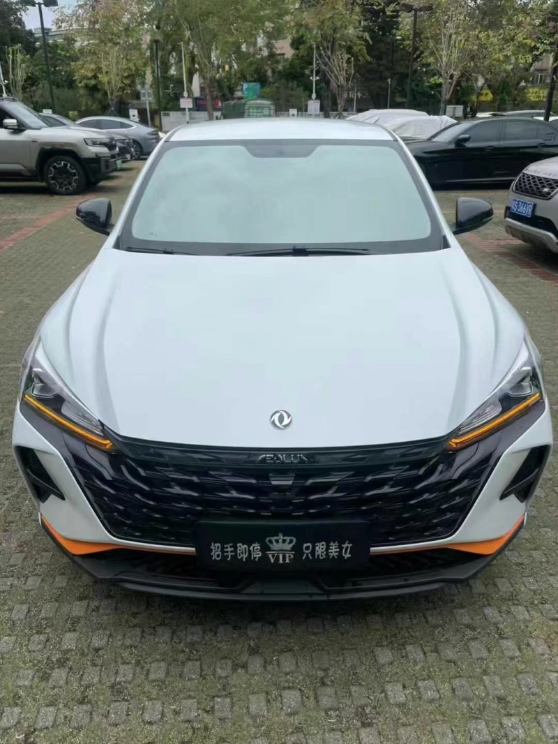 東莞24年東風奕炫1