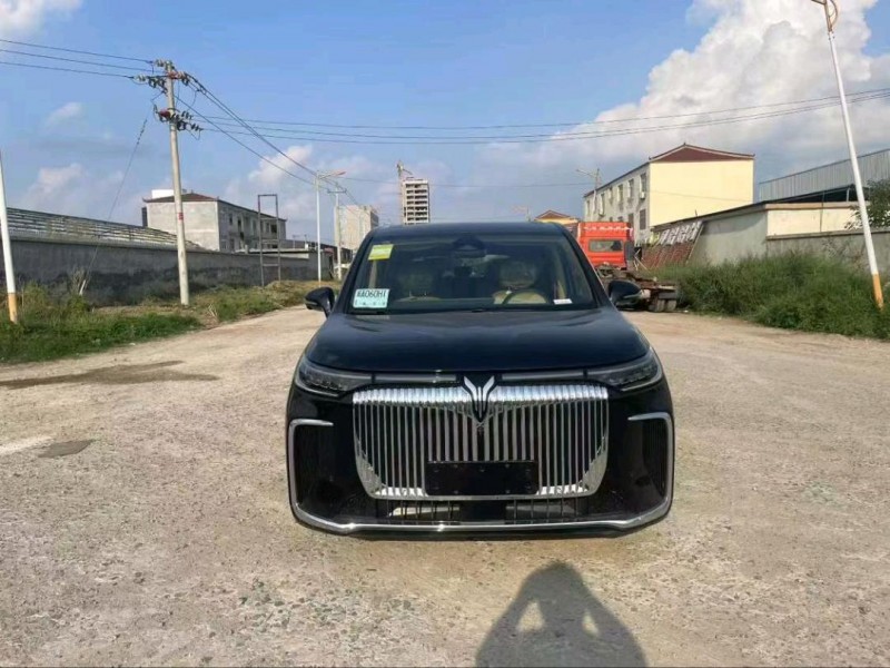 菏澤25年嵐圖汽車夢想家1