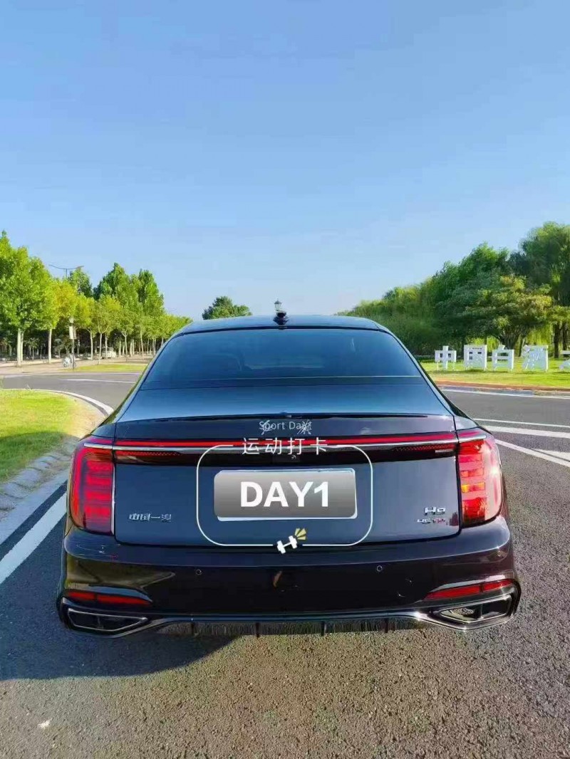 徐州25年紅旗H98