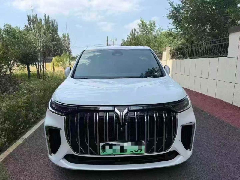 包頭24年嵐圖汽車夢想家1