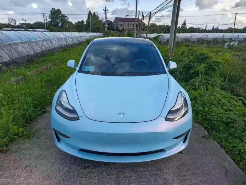 紹興20年特斯拉MODEL 31