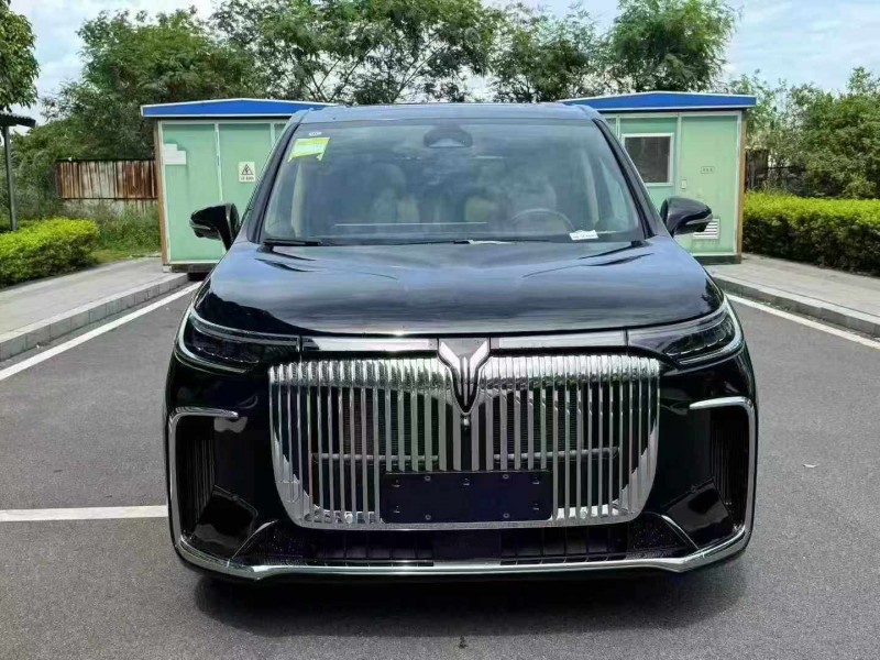 韶關25年嵐圖汽車夢想家1