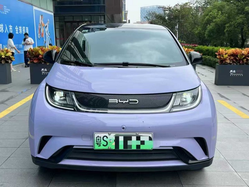 深圳24年比亚迪海豚1