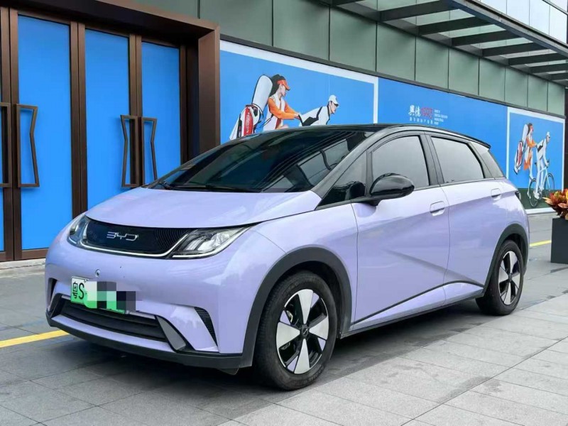 深圳24年比亚迪海豚3