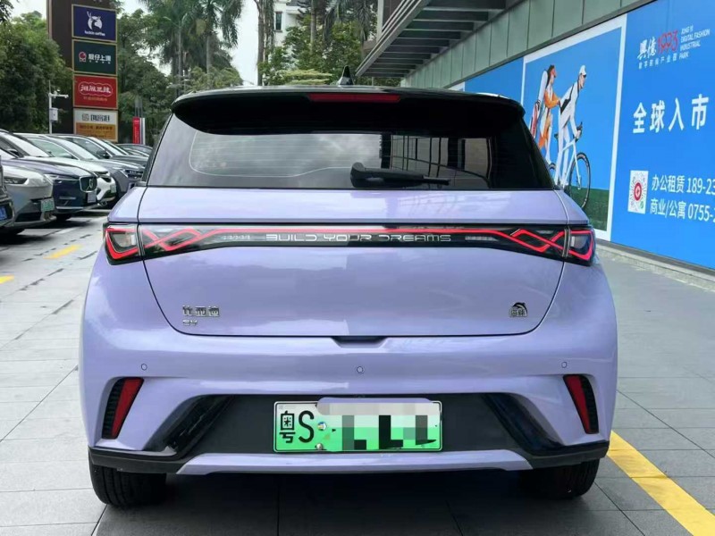 深圳24年比亚迪海豚9